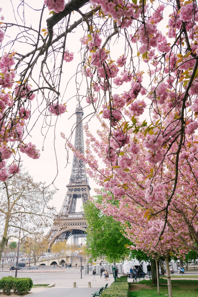 Paris in Spring a view of the eiffel tower through the trees
